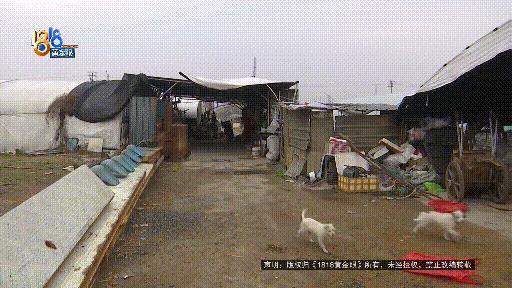 DƬ